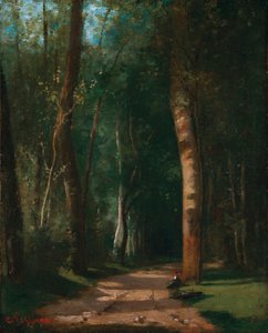 Path in a Forest